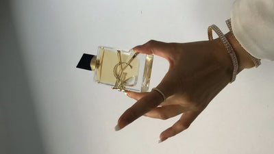 YSL New Arrivals